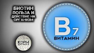 Биотин (Витамин B7). Польза и действие на организм.