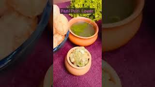 Pani Puri Lover....#shorts #anishorts #shortvideo #short #shortsyoutube #golgappa #panipuri