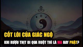 Cốt lõi của sự Giác Ngộ - Khi đã Giác Ngộ làm sao để không thoái chuyển - Vạn vật giác ngộ