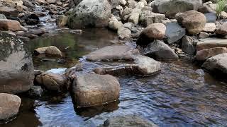 5min Relaxing Water Flowing Sound - River Nature Sounds Short Meditation W/O Music - Running Stream