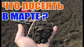 Огород что посеять в марте ???