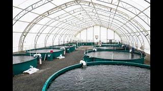 Botswana Fish Farming (Aqua Culture)