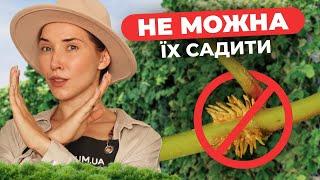  ПОСАДИЛА І ПОЖАЛКУВАЛА | 8 рослин які перетворять ваш сад в ПЕКЛО | Florium