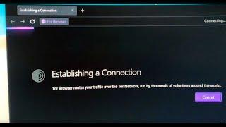 как подключить Тор если авто мосты не работают? tor browser