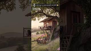 Nature of God.birds voice so beautifull and so sweet