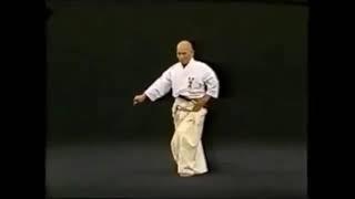Iaido Omoriryu 03 Uto 右刀 Sagawa Hakuo Sensei 9D