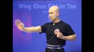 Wing Chun kung fu siu lim tao - form  applications Lessons 1-10