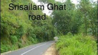 Raw views of Srisailam Ghat road