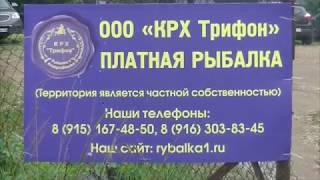 КРХ "Трифон". Видео отчет о рыбалке за 21 июля 2018
