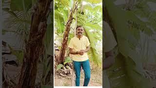 Vishwa Yoga Kendra tips #11 | Grandma’s Anti-Pain Knee Massage | #kneepainexercises #kneepainrelief