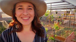 Desert GARDEN TOUR | Southwest Homestead