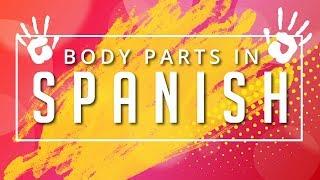 [Learn Spanish] Human Body Parts in Spanish | Basic Spanish Vocabulary