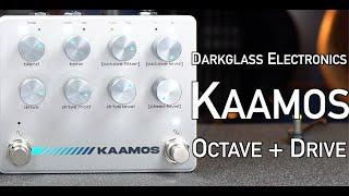 Darkglass Electronics KAAMOS Octave + Drive