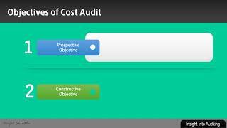 Cost Audit