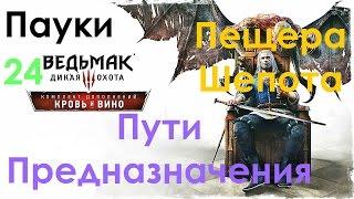 Ведьмак 3 Кровь и Вино The Witcher 3 Прохождение # 24. Пути Предназначения. Пещера Шепота. Паук