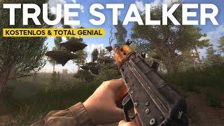 TRUE STALKER - Ein Muss für Stalker 2 & Singleplayer Fans