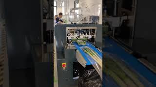 Надёжное упаковочное оборудование для малого бизнеса / Packaging equipment for small businesses