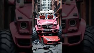 A cat and his kitten in a red sports car destroyed the poor dog #shorts #dog #cute