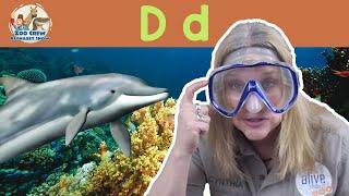 Zoo Crew Alphabet Show | Dolphins and Letter D