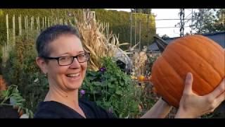 The Heart Shaped Pumpkin - Pumpkin for Heart Health!