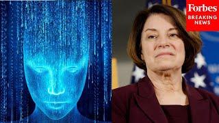 'Hair-On-Fire Moment': Amy Klobuchar Warns Of The Dangers Of Artificial Intelligence For Democracy