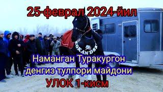 25 феврал 2024 НАМАНГАН денгиз тулпори Улок 1-кисм