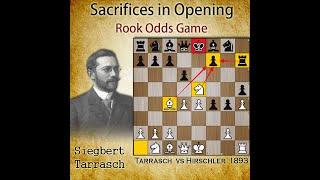 Sacrifices in opening | Rook Odds Chess Game | Tarrasch vs Hirschler 1893