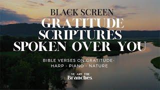 Fall Asleep Feeling Safe with 10 Hours of Calming Scriptures [Black Screen] #asmr #bible