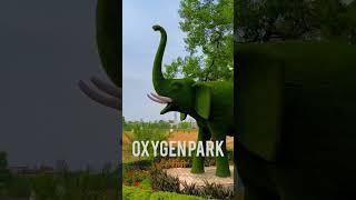 Oxygen park.....Ranchi