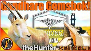 RARE "Gold" Gemsbok with the Gandhare Rifle! | theHunter Call of the Wild