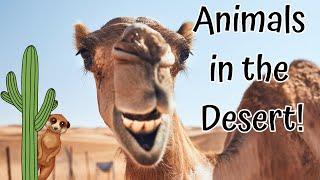 ANIMALS IN THE DESERT! Learn about the amazing animals you may see in the desert.