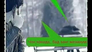 Амкурсонии донишчуи