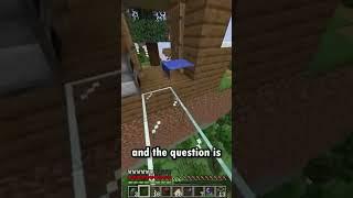 The Rarest Block in Minecraft…