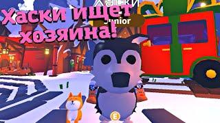 Отдам Хаски??ЧТО Предлагают За Хаски В АДОПТ Ми?Roblox