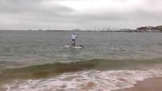 Zuma the Dog paddle boarding part 2 (surfing jack russell terrier)