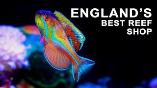 VargasReef Chronicles: England's BEST kept SECRET!