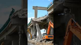 Bridge Unexpectedly Collapses During Demolition Work