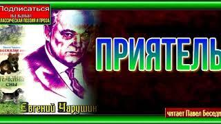 Приятель—   Евгений Чарушин —  читает Павел Беседин