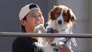 World Series champion Shohei and Decoy watch as Clayton Kershaw declares himself 'Dodger for life'