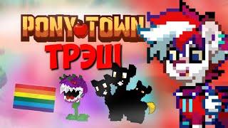 Что Происходит В ПТ? PONY TOWN Новости