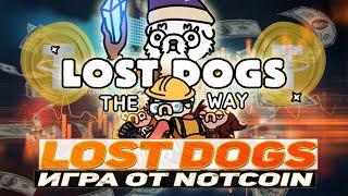 Lost Dogs игра от NOTCOIN как заработать