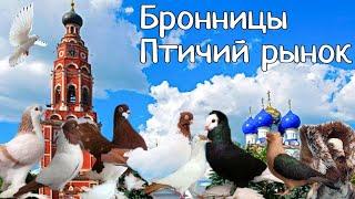 Птичий рынок-Бронницы. Очень мало молодых голубеводов.Удивили своим позитивом и добротой! Россия