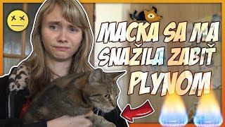 MAČKA SA MA SNAŽILA ZABIŤ PLYNOM!