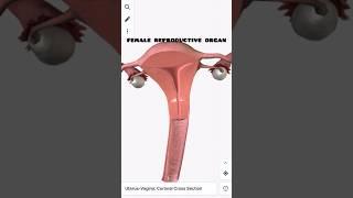 watch full video on my channel