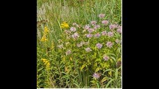 History and Objectives of the USDA NRCS National Resources Inventory - Eric Suffridge