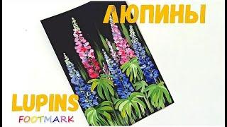 КАК НАРИСОВАТЬ ЛЮПИНЫ. [HOW TO PAINT LUPINS].