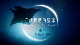 《重返藍色珊瑚礁-守護我們的星球》｜《聚焦全世界》第62期｜舒夢蘭｜Return to the Great Barrier Reef @EARTHFOCUS_EBC