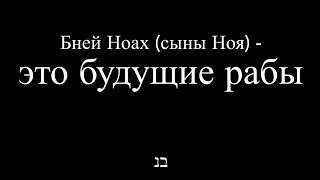 Бней Ноах (сыны Ноя, ноахиды)-это будущие рабы. Анти Бней Ноах