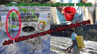 ভোট জলকীয়া পাত কেকোৱা হৈচেনি আপোনা  জদী হৈছে  এইটো  মেদিচিন মাৰক আপোনি  3 দিনত পৰিষ্কাৰ পাব3