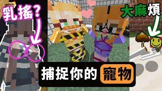 【Minecraft】捕捉你的Ｏ奴＋巨乳 ＋大麻！三個有趣&瑟瑟的成人模組｜MC模组｜Female Gender Mod | Kidnap Mod |